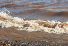 八字中水多土荡的含义