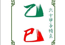 乙巳日出生的人命好坏，乙巳日各个时辰吉凶