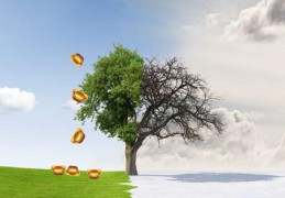 大林木命人命差吗