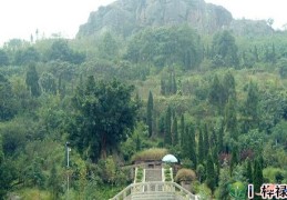 财富大的八字格局