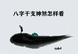 八字干支神煞怎样看，八字日柱神煞速查表
