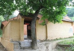 农村住宅种什么树好