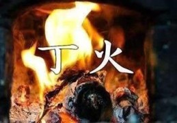 八字枭神很重是什么意思
