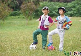 八字看兄弟能力