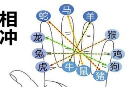八字地支相冲的分类