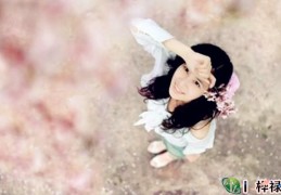 天乙贵人的论命口诀出处