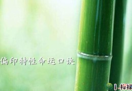 偏印特性命运口诀