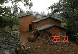 ​养猫能改变风水吗