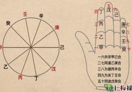 八字天干五合详解大全