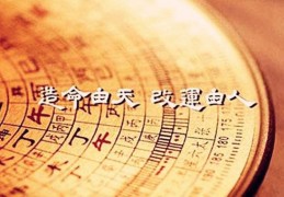 八字测格局好坏技巧，层次高的八字特征