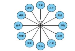 八字地支相冲有什么影响