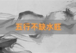 八字五行水旺的人性格特征