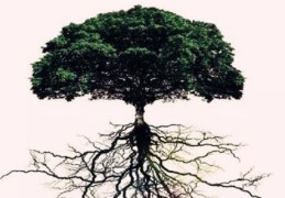 八字印星通根代表什么含义