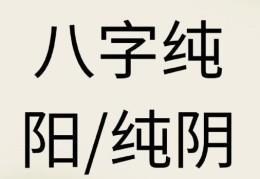 纯阴八字的男命性格特征