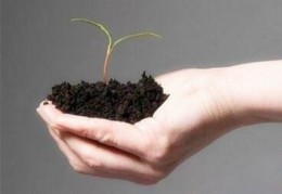 事业能大展宏图的八字（事业上大展宏图）