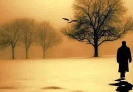 八字特殊格局命运好不好