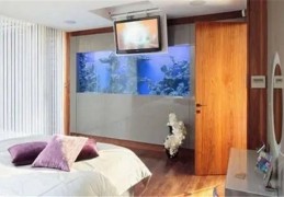 鱼缸放卧室哪个位置好