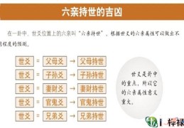 六爻六亲用神详解