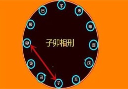 八字地支有子卯命好吗