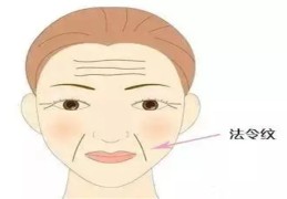 面相法令纹命运分析