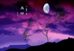 ​丑时出生的人命好吗