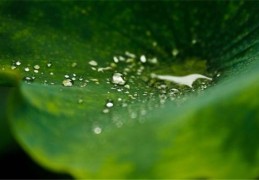 八字格局法的应用技巧