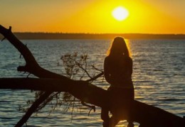 丙寅日柱详细论命理好吗