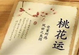 ​女命八字带桃花代表什么