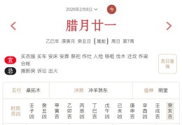 2026年2月8日每日五行穿衣指数解读搭配