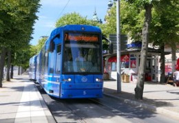 木命什么颜色最强