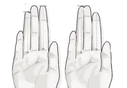 手掌五指断性情特点