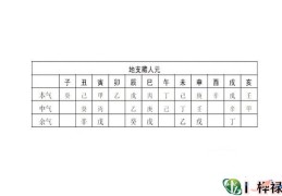 十二地支藏干分类