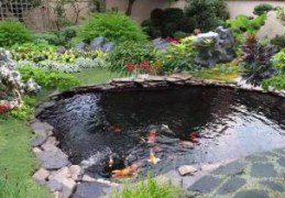 招财运的庭院风水布局