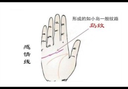 用情很深的女人手相