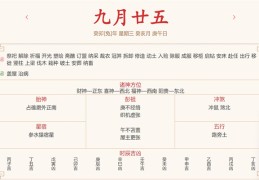 每日运势解读：2023年11月8日穿衣指数