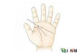 男人感情线分叉好吗