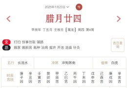 2025年1月23日每日五行穿衣指数解读搭配