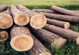 什么样的房子有好的风水（什么样的房子有好的风水讲究）