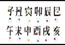 ​十二地支间的作用关系