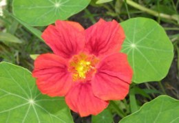 福禄双全的八字特征