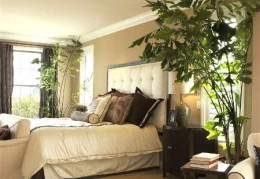 住宅衣柜摆放风水