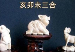 亥卯未在八字命理中的作用