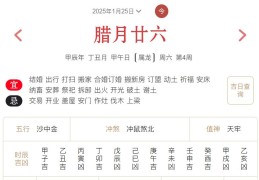 2025年1月25日每日五行穿衣指数解读搭配