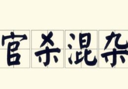 官杀混杂的男命好吗