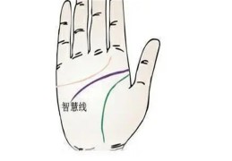 男人手相智慧线的看法技巧