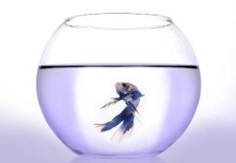 别墅客厅风水饰品摆放风水