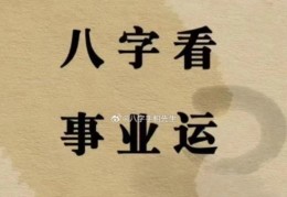 八字适合从事什么行业，八字看事业技巧