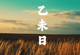 乙未日出生的人命好吗，乙未日各个时辰吉凶