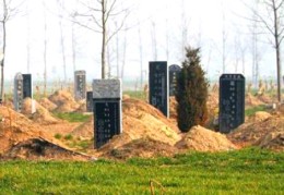 三年新坟看后人