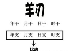 八字日坐羊刃的女命婚姻（八字日坐羊刃的人）
